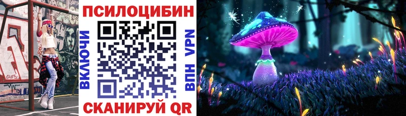 мега ССЫЛКА  Кущёвская  Псилоцибиновые грибы Psilocybine cubensis 